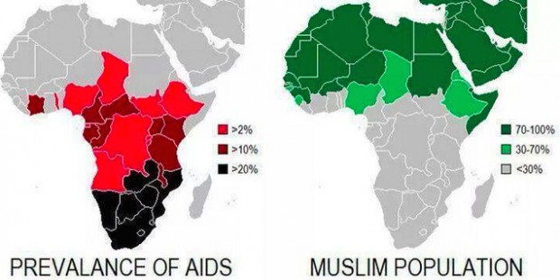 Dem omdiskuterade kartan. Rött visar utbredningen av AIDS och grönt de muslimska invånarna.